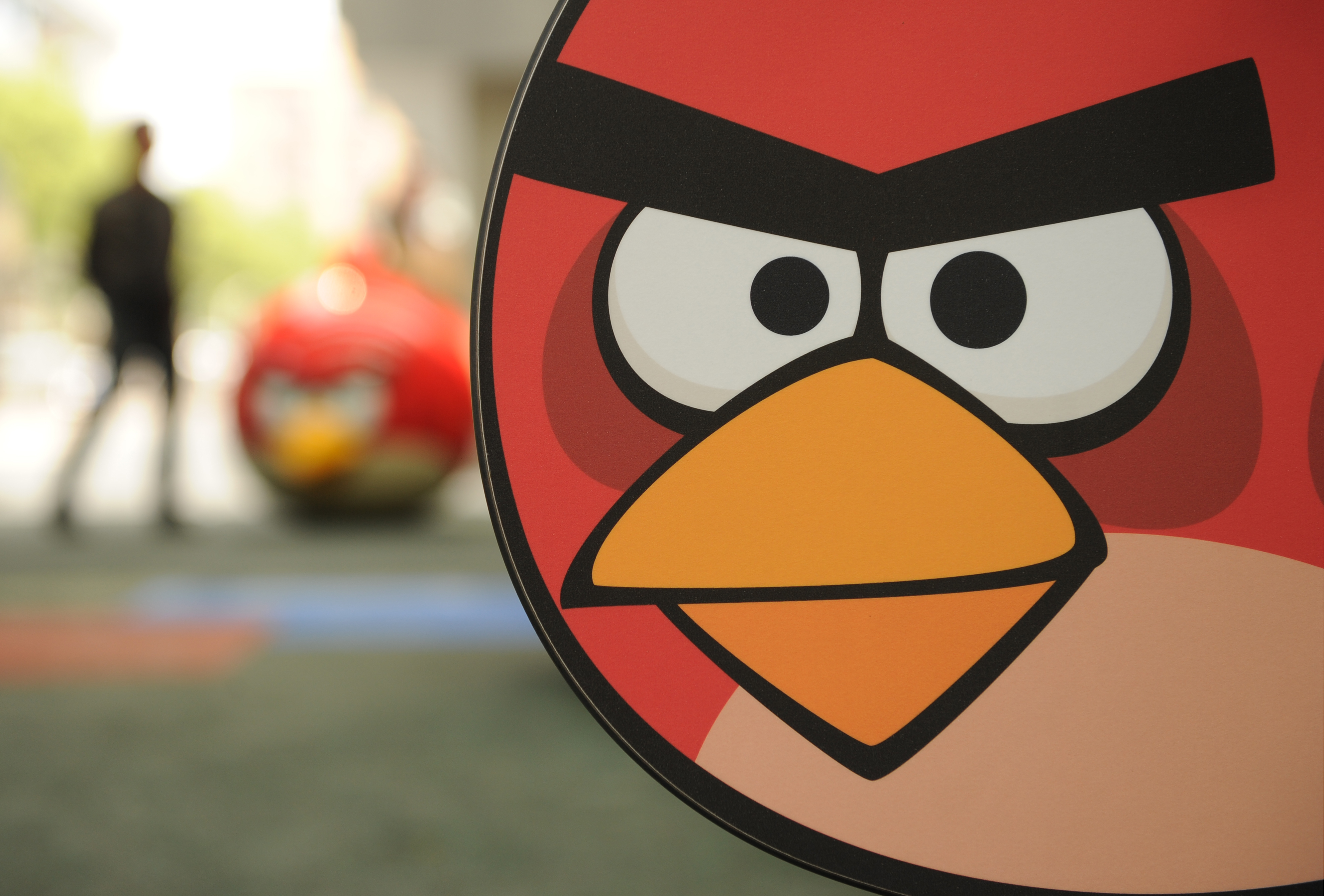 foto angry birds toons
