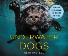underwater-dogs-cover
