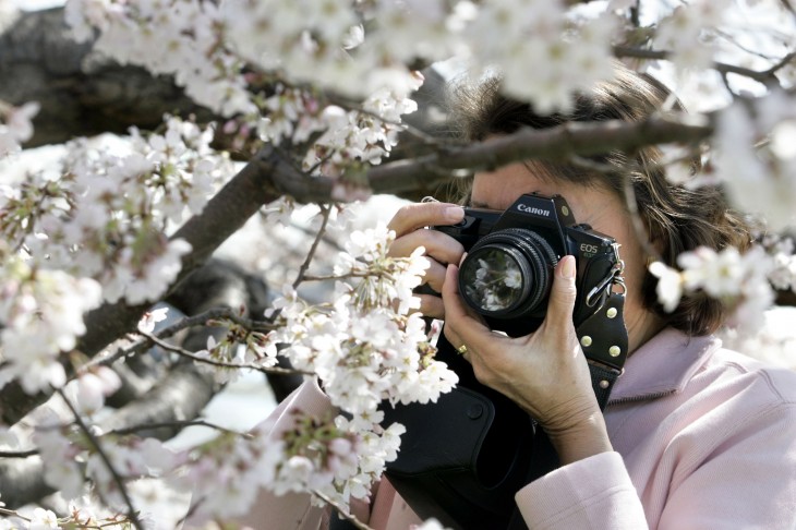 Aviary’s Photo Editor v2.0 hits the Apple App Store with new tools, faster blurring, saving, more