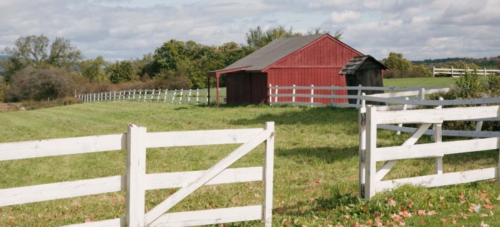Relay Foods picks up $8.25 million to expand its East Coast grocery delivery service