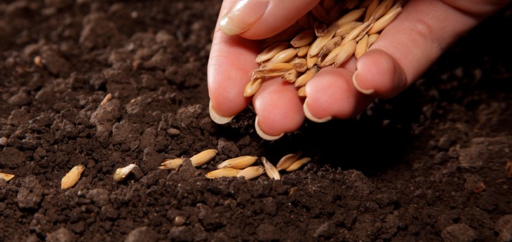 Done: Any.DO raises $3.5M seed round to bolster its cross-platform to-do list app