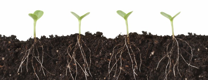 Growth hacking