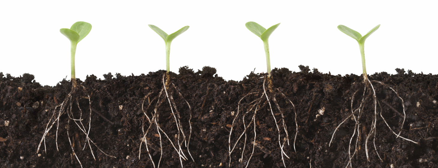 Explained: The actual difference between growth hacking and marketing