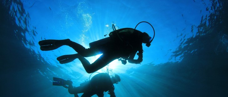 Diveboard: Meet the Scuba startup using citizen science to monitor underwater species