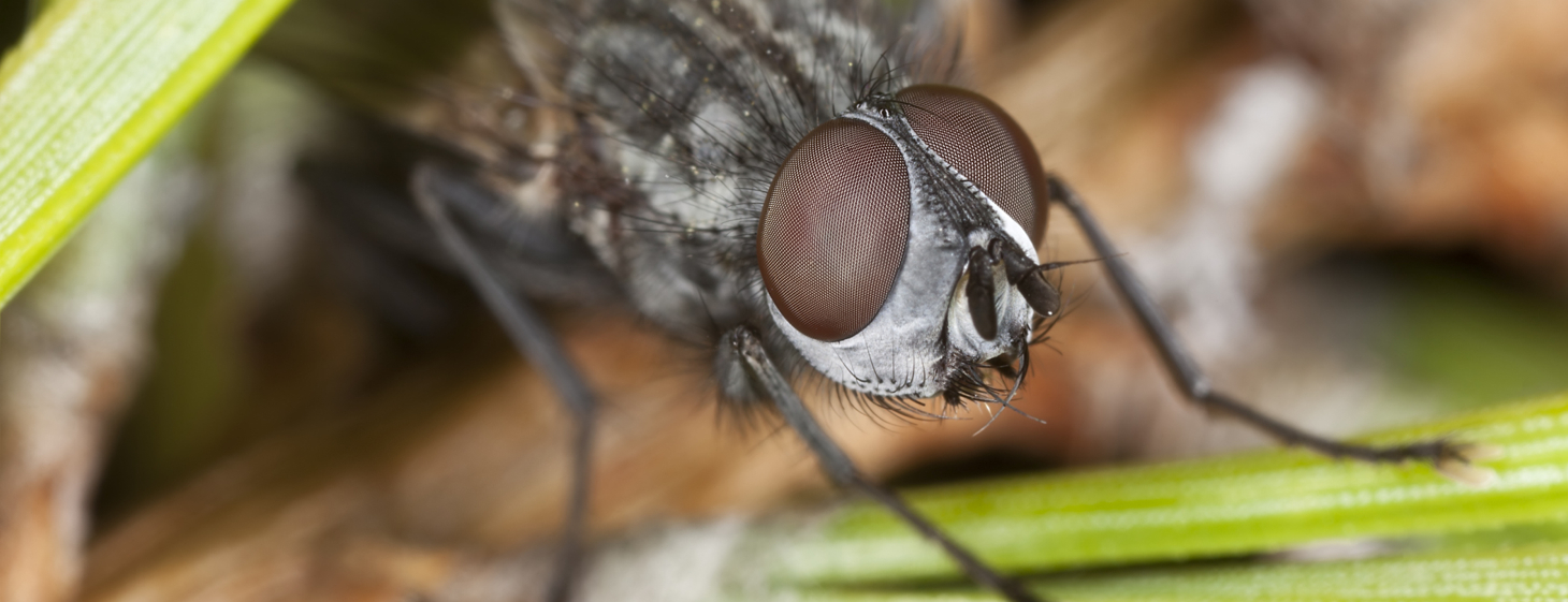 Instapaper creator Marco Arment launches Bugshot, a Skitch rival for highlighting visual bugs in iOS apps