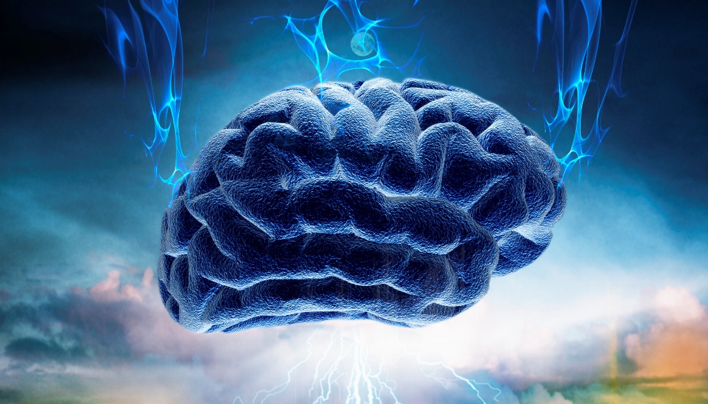 Researchers may have uncovered an algorithm that explains intelligence