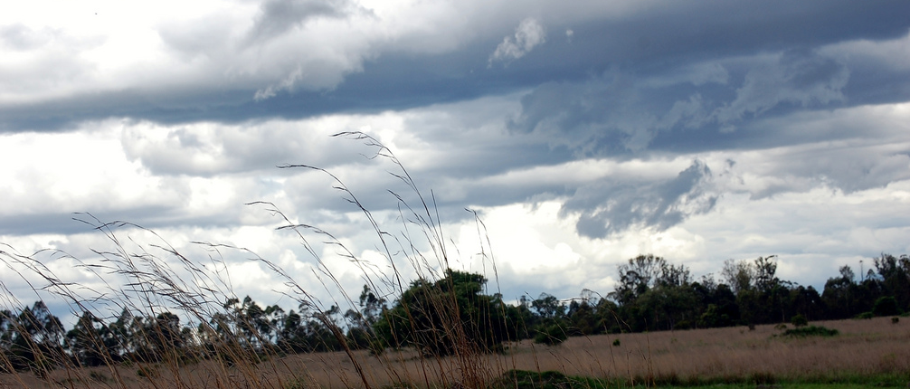 Adobe begins rolling out its file and font sync features to Creative Cloud users