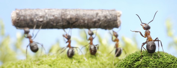 Get more done: How to delegate effectively
