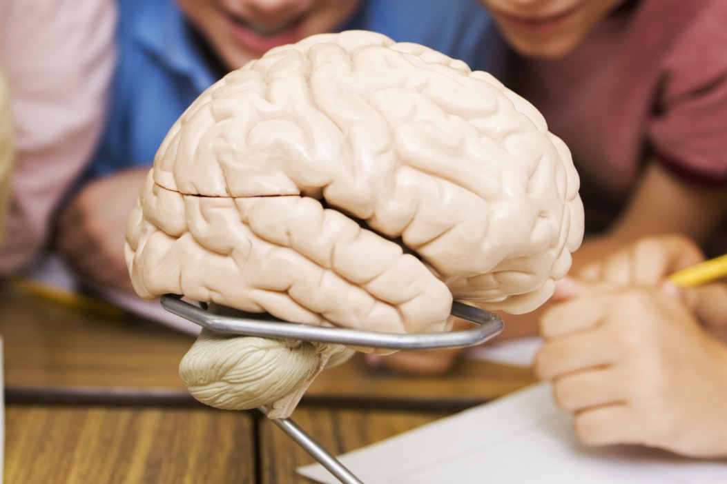 Upgrade Your Brain: Resources for Coding Beginners