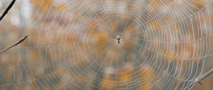 For your eyes only: How the personalized Web is transforming our relationship with technology