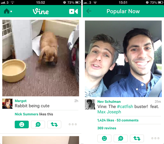 vine1