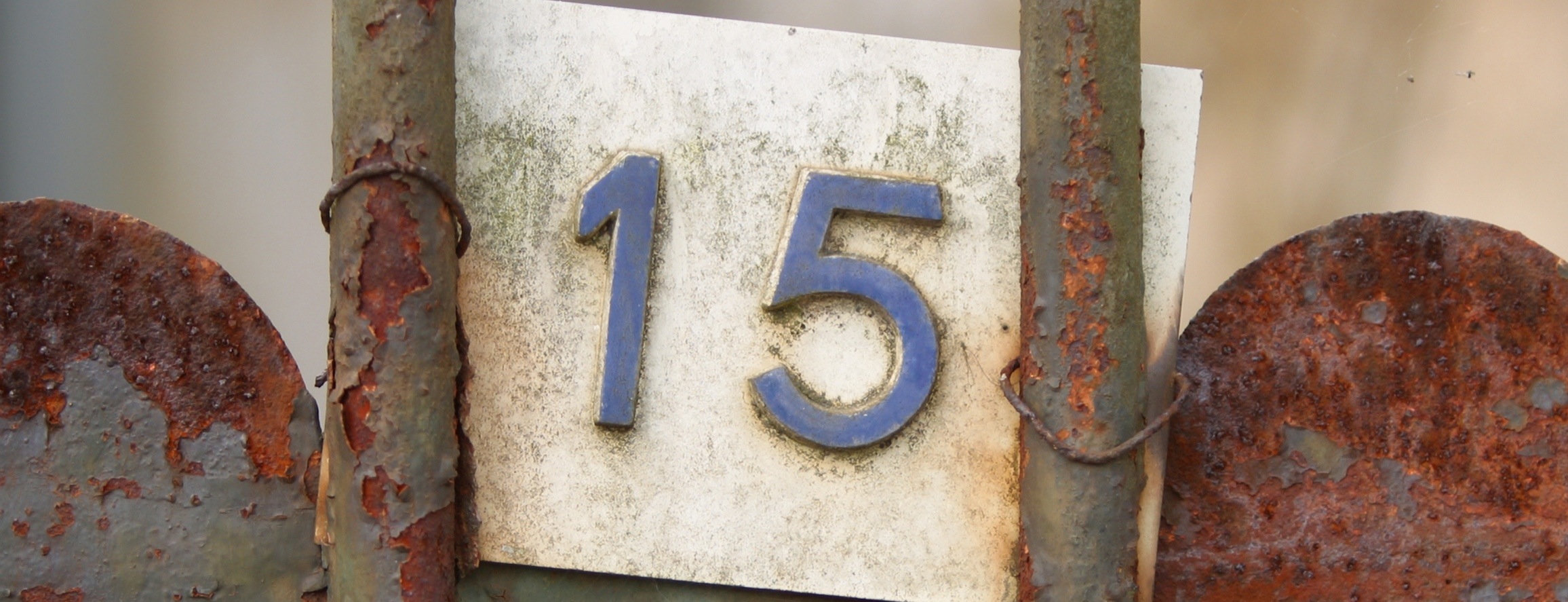 15 steps to launch your own startup, part 5: Mentors, preparing for change, and being nice