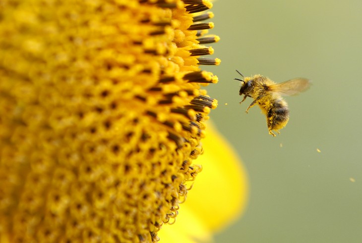 Bloom.fm brings its stunning on-demand music streaming app to Android in the UK