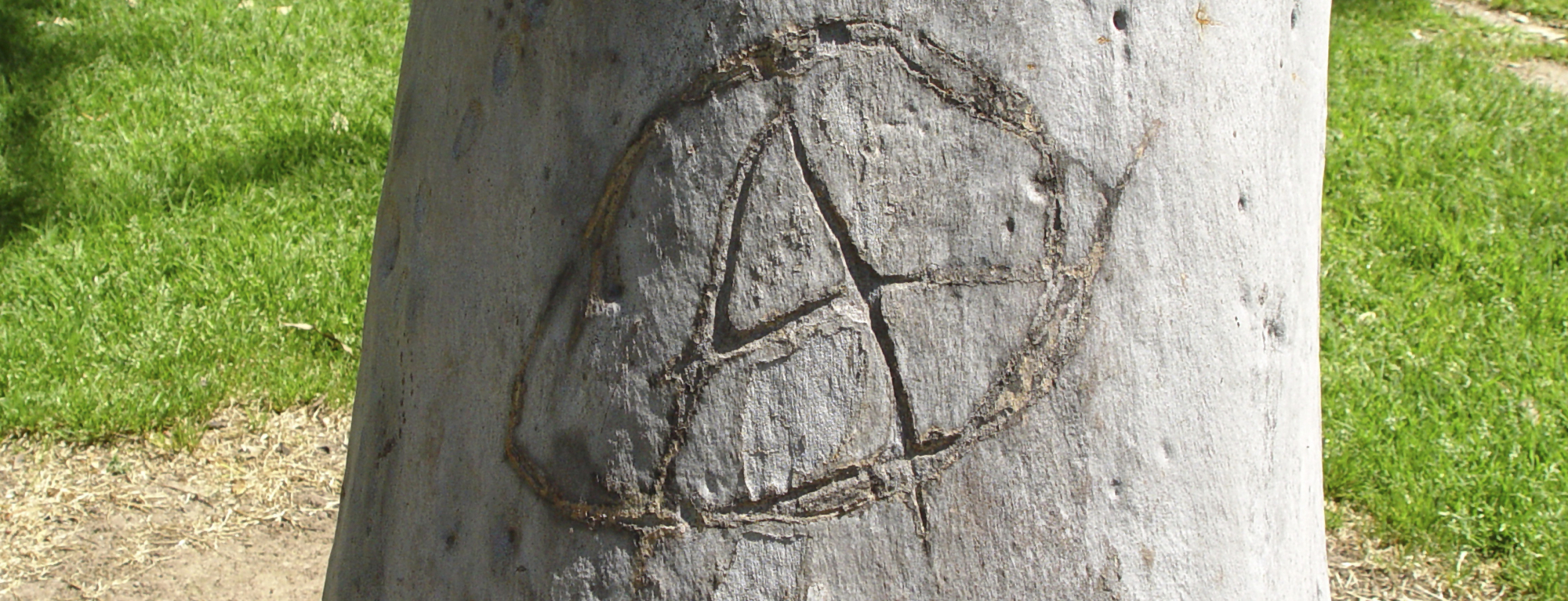 Startup failure: How to prevent online vandalism from killing your startup