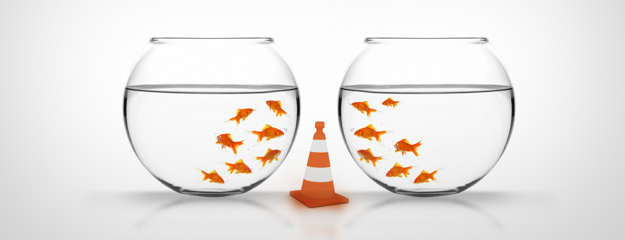 How to manage technical and creative people when you’re in-between the two