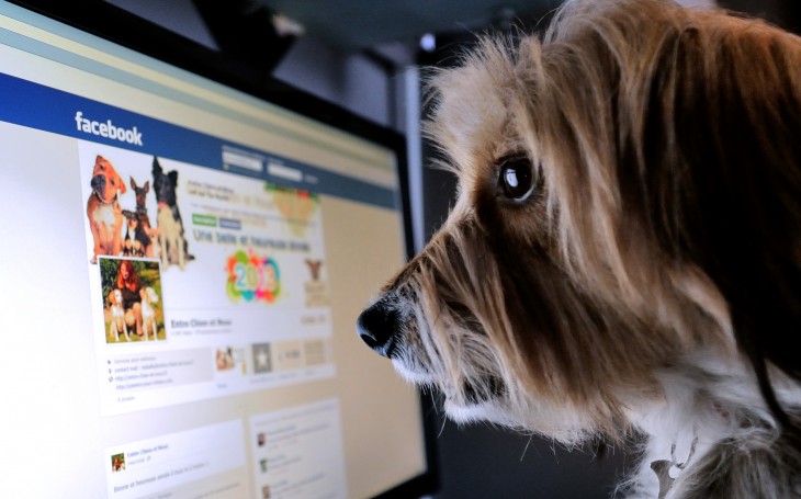 Study: Facebook’s new link image format helps improve sharing and engagement