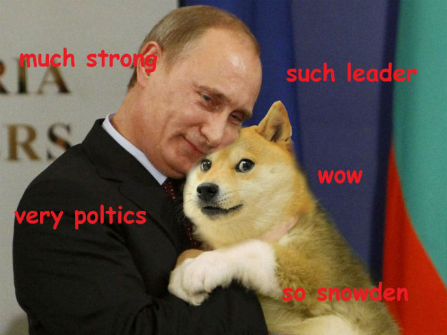 Doge-2