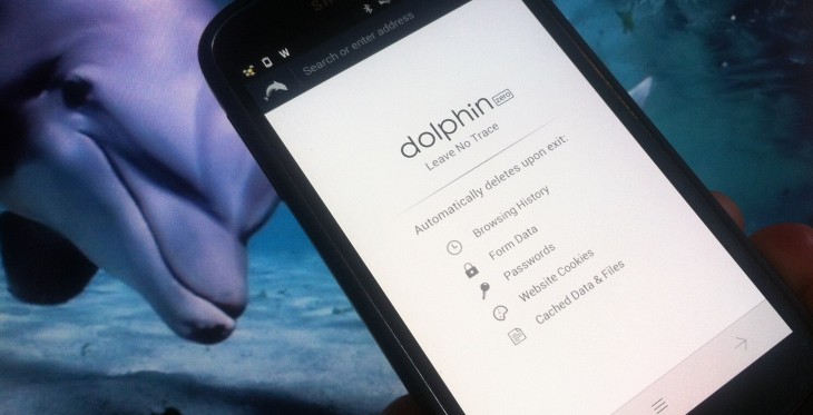 Dolphin goes ephemeral with Zero, a new privacy-focused mobile browser