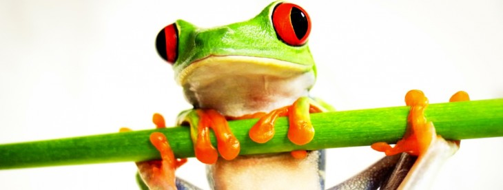 Memes to offsite storage: meet the startups that vied for investors’ attention at JFDI’s ...