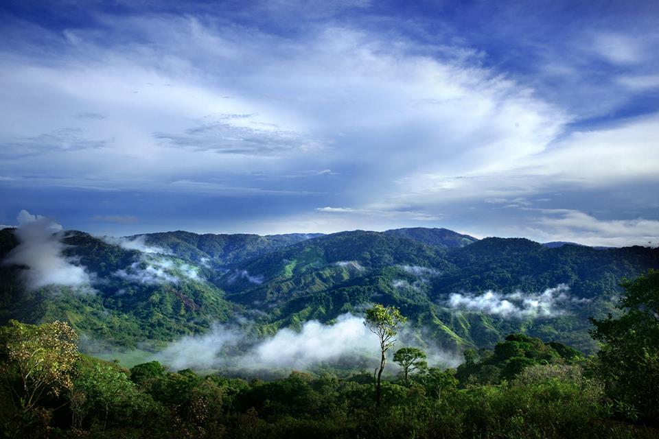 In the heart of the Panamanian jungle, a startup village grows Featured Image