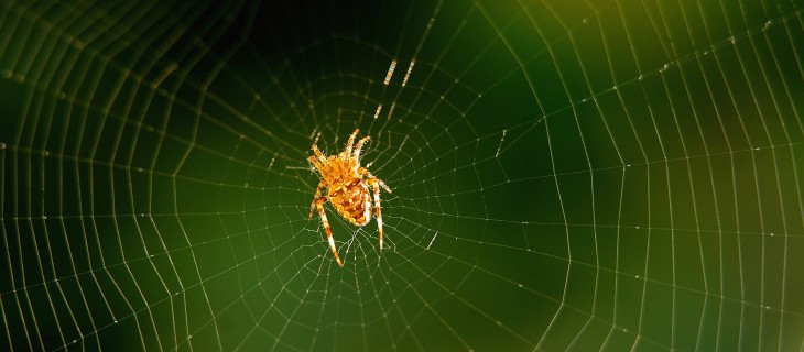 Google acquires cyber security startup Spider.io to help combat online advertising fraud