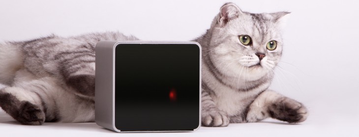 Life after Kickstarter: How Petcube is preparing its pet-focused gadget for the mass market