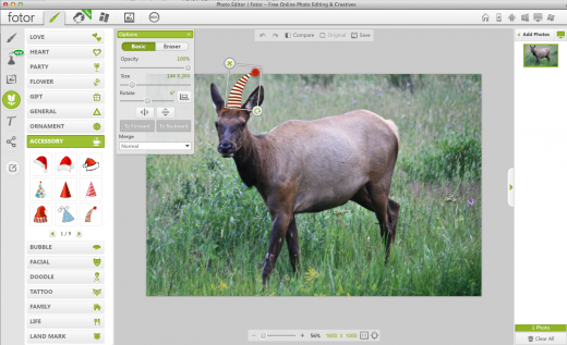 Fotor online photo editor