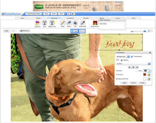 FotoFlexer online editor