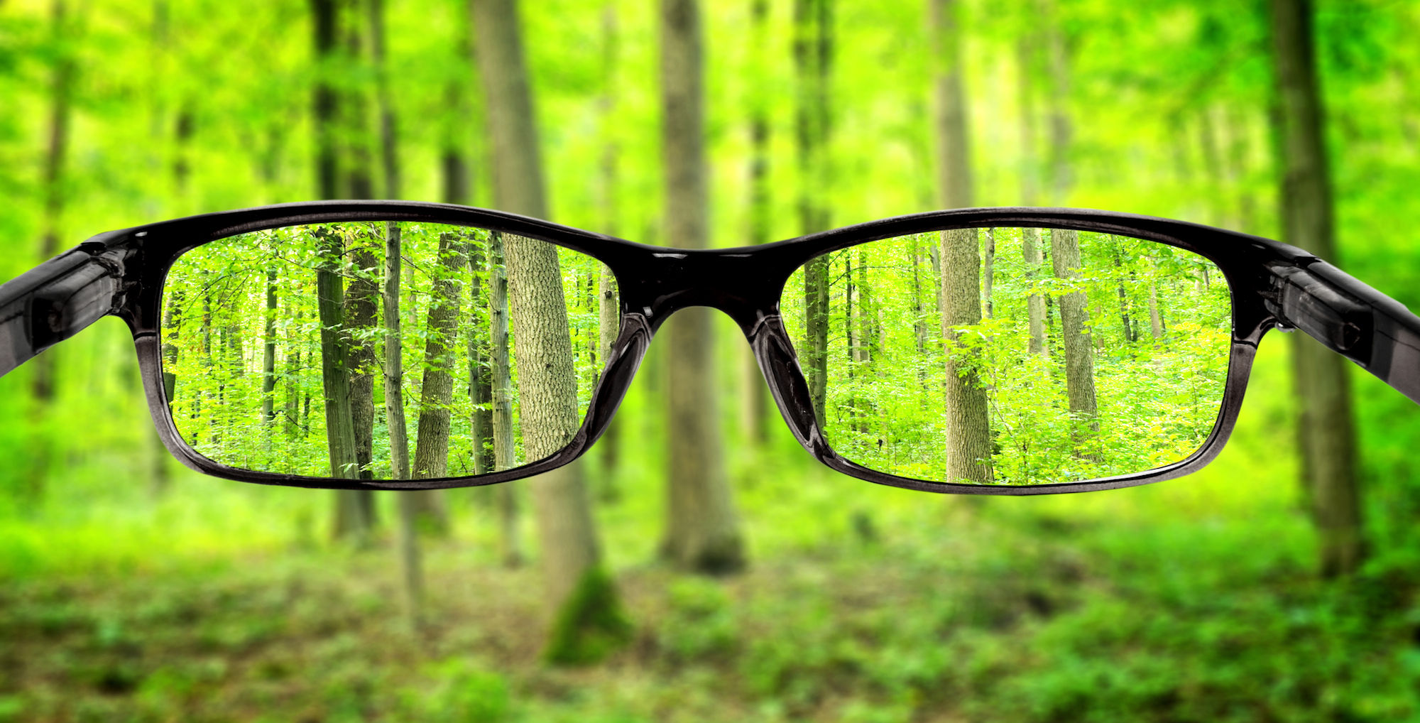 Understanding what vision means in a ‘visionary founder’