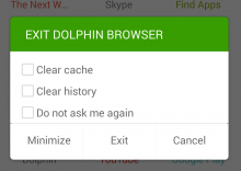 Dolphin App Exit screen
