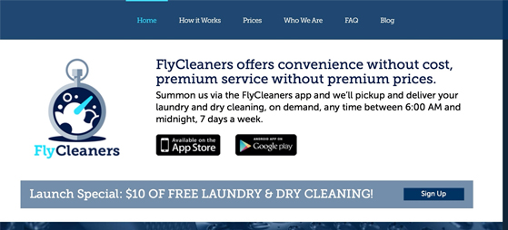 flycleaners