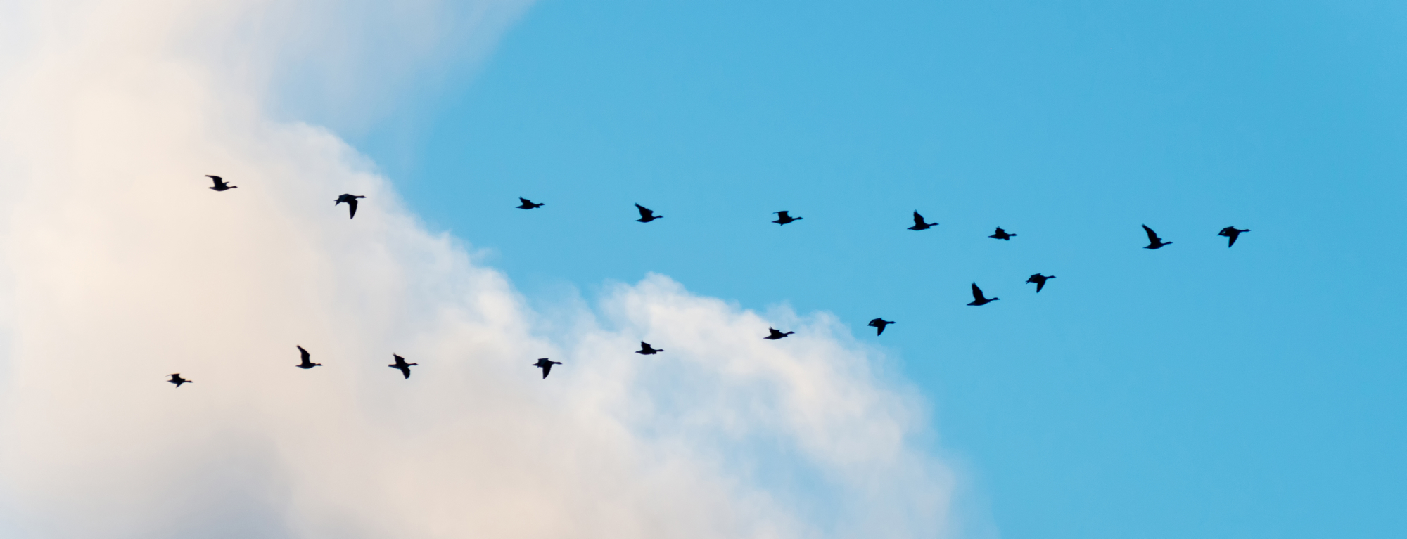 Migrating your application to the cloud