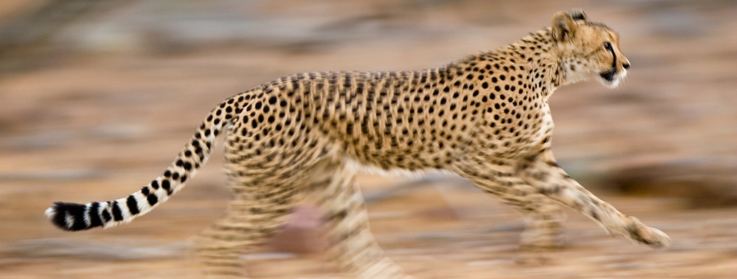 12 ways to get ahead in the App Store