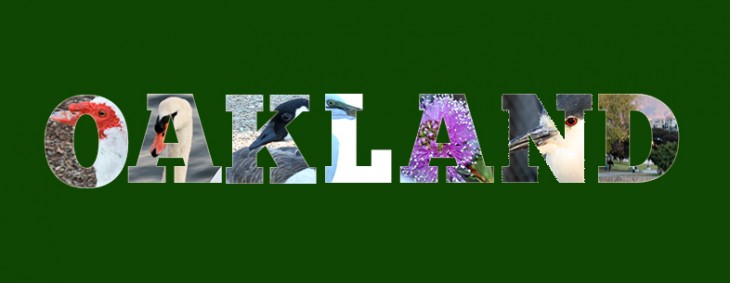 How to place images inside text for that old-fashioned look