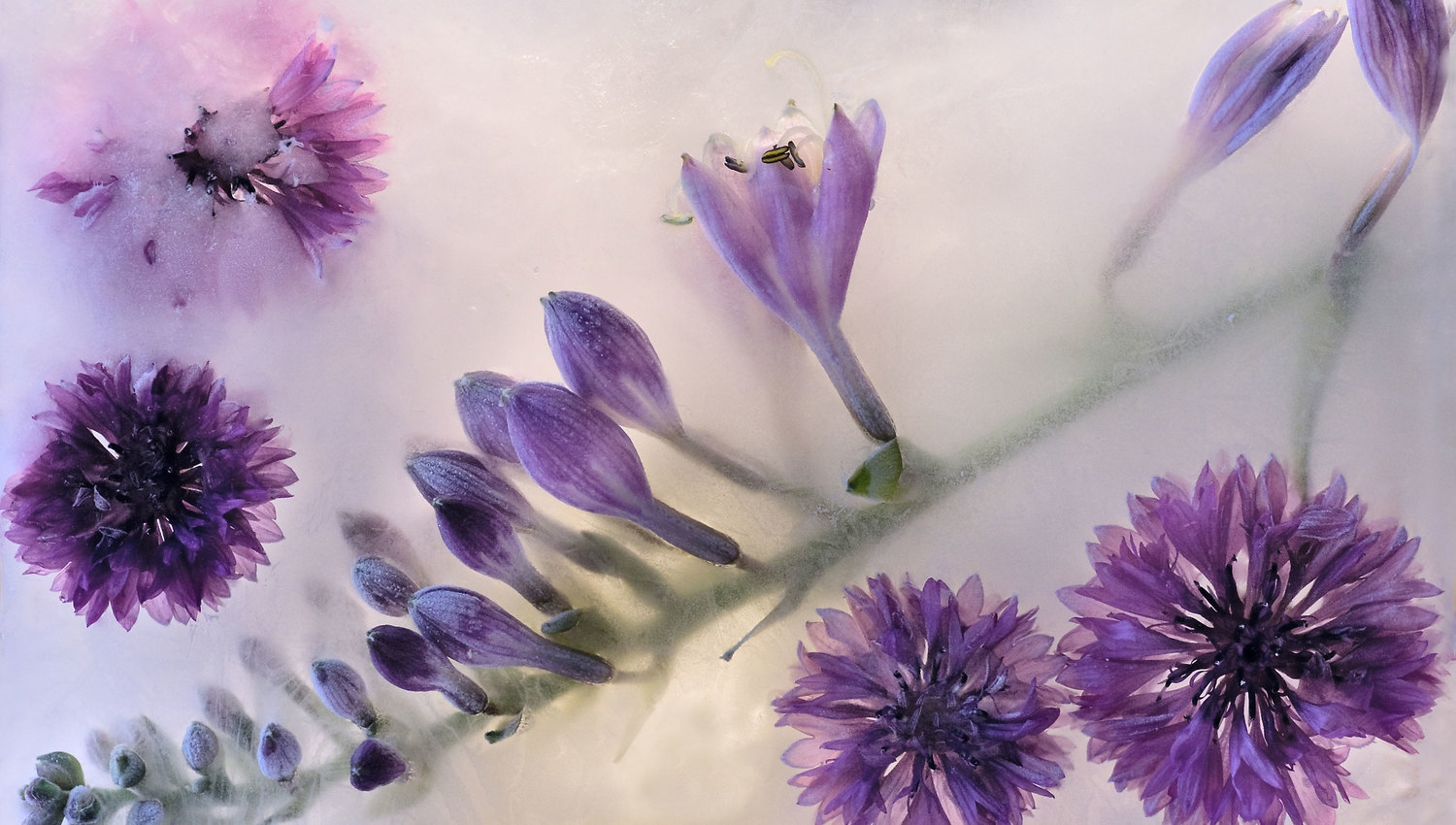 5 unique approaches to fantastic floral art Featured Image