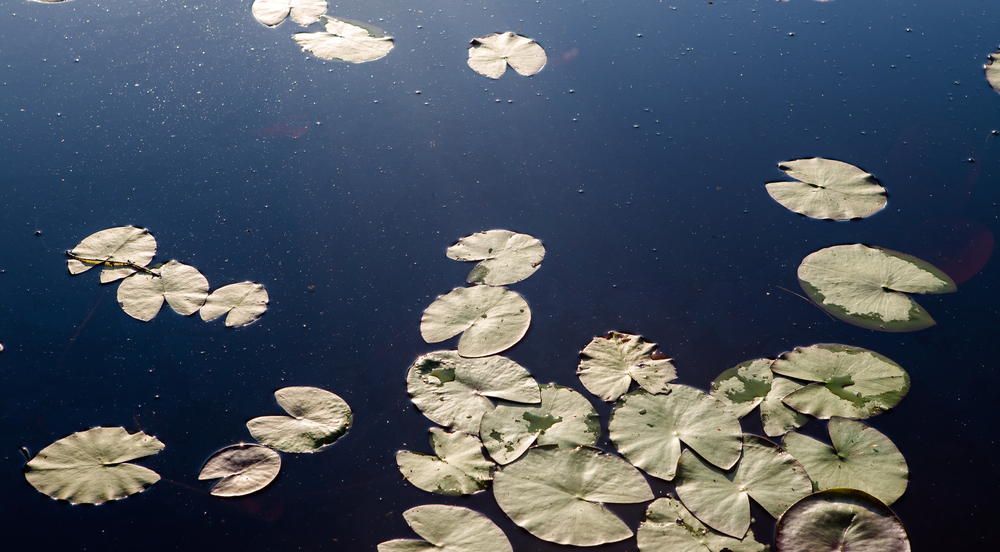 Getting leapfrogging right: Adapting the latest tech trends to developing nations