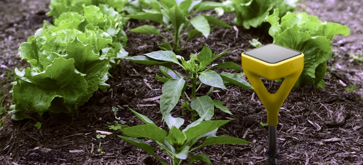 Edyn wants to make your garden smart with its connected soil sensor and watering attachment