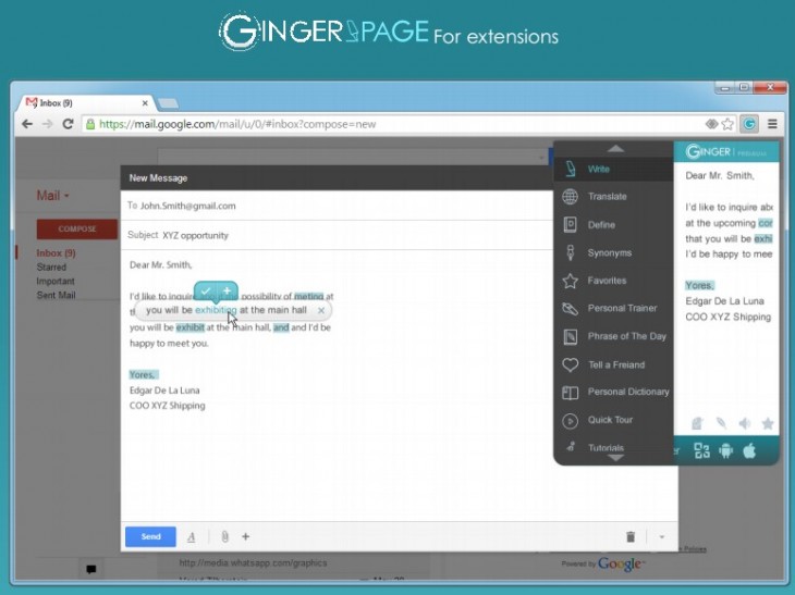 GingerPage_extension