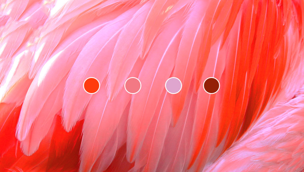 The key to color harmony: Avoiding boredom and chaos Featured Image