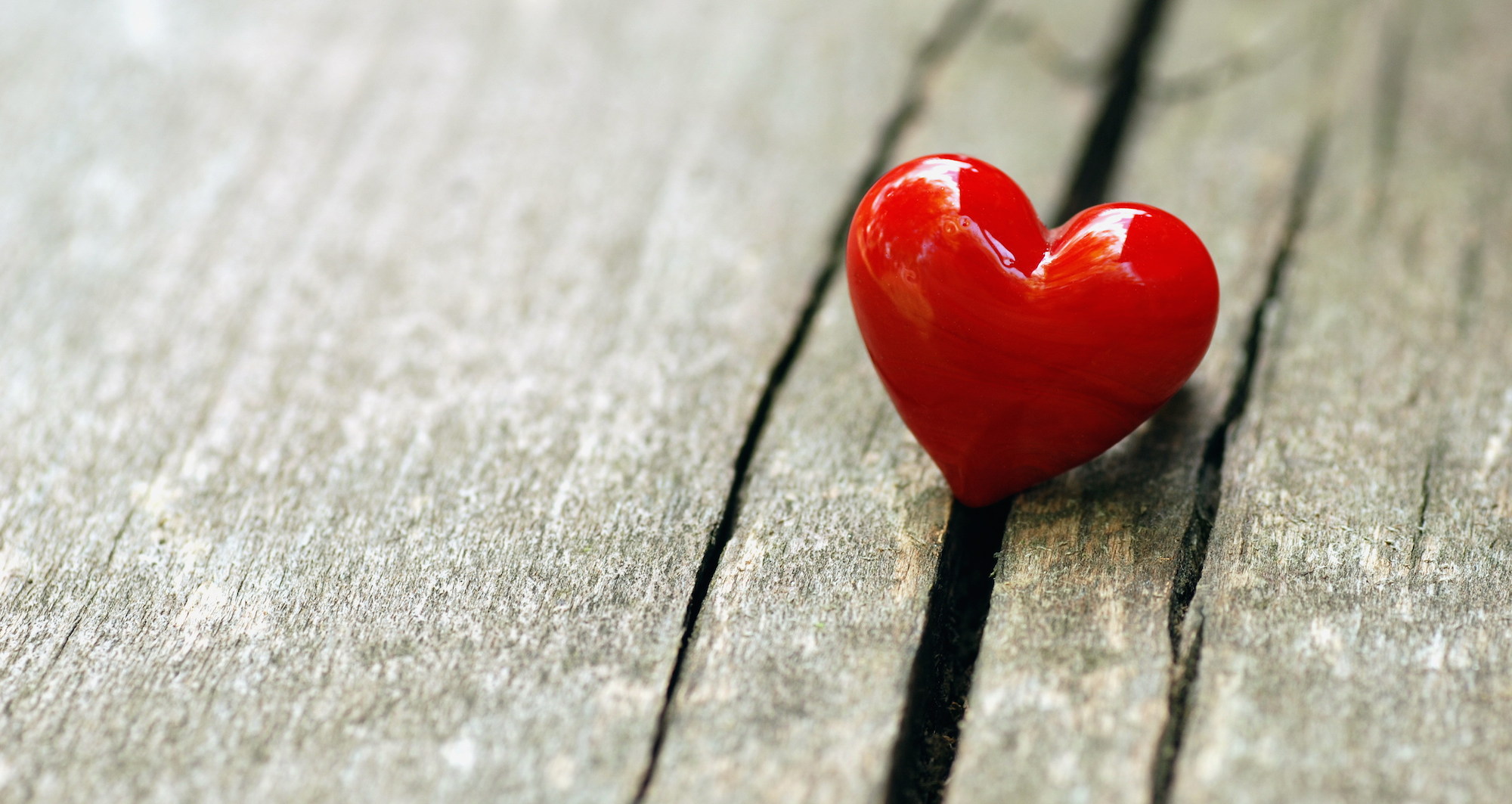 Creating customers for life: 50 resources on loyalty, churn and customer retention Featured Image