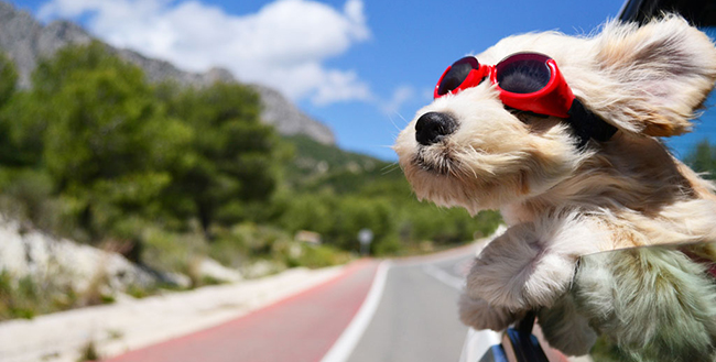 5 things Reddit can teach us about creating viral images