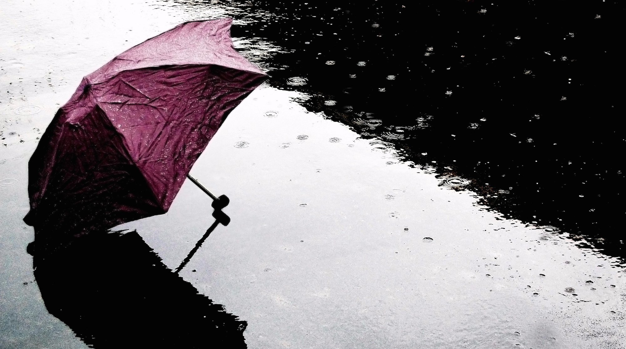 The one mistake that will kill your startup? Bad financial predictions