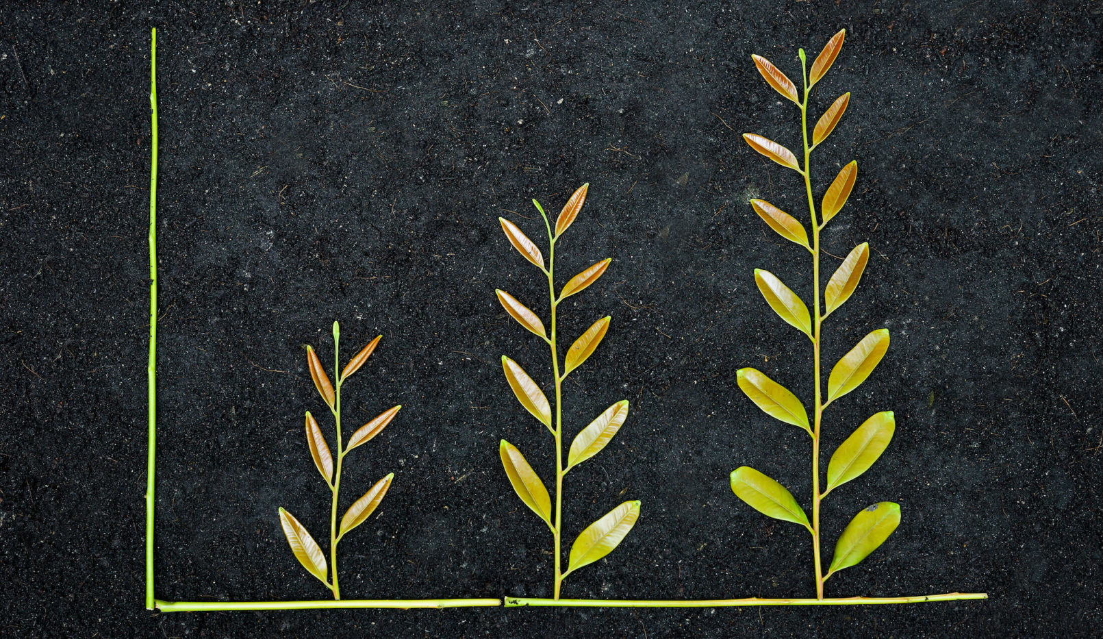 We’re hunting for young startups with massive growth potential Featured Image