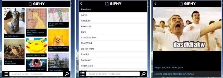 Giphy_Chrome