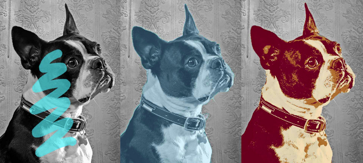 Autodesk’s Pixlr photo editor arrives on the desktop for Mac and Windows