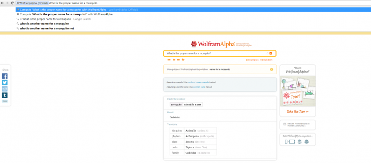 Wolframalpha_Chrome2