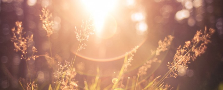 Lenshare mobile photo app captures the moment and keeps it confidential