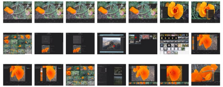 iPhoneographers pine for their beloved Camera Roll