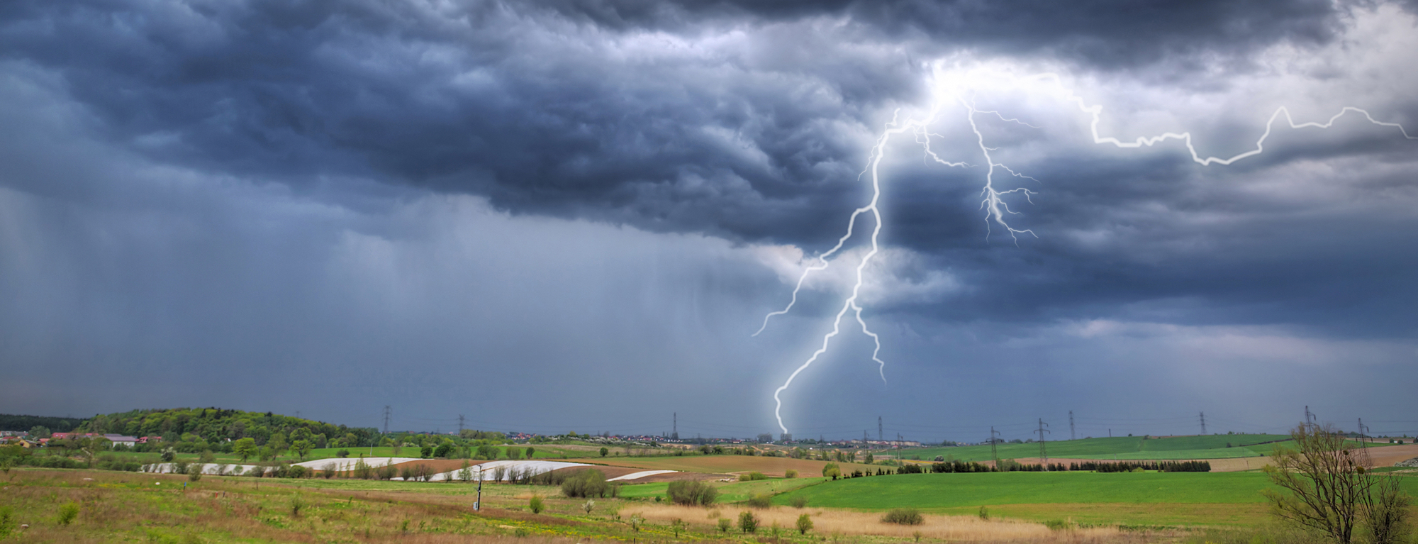 The sky is falling: Is cloud computing right for your business?