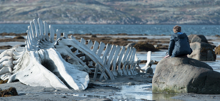 10 visually inspiring films from the 2014 Toronto International Film Fest
